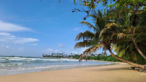 Moonlight beach resort